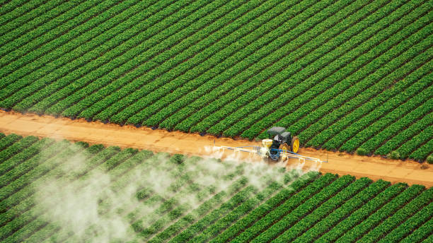 Reliable Redwood Valley, CA Pest Control Solutions